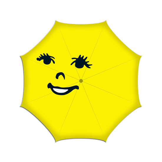 The Magic Whip Anniversary Umbrella (Limited Edition)