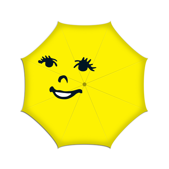 The Magic Whip Anniversary Umbrella (Limited Edition)