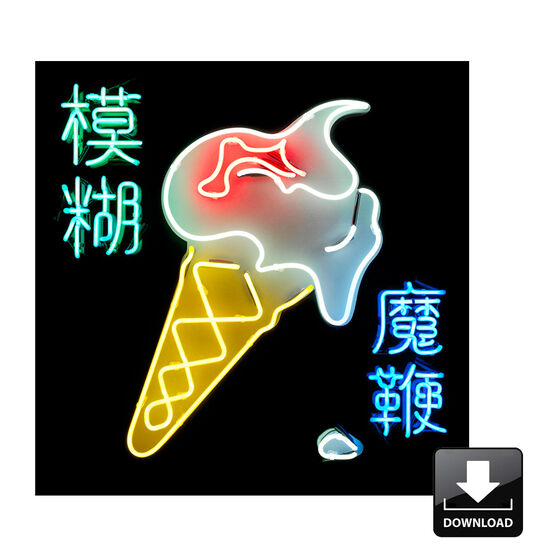 The Magic Whip Digital Album The Magic Whip Digital Album