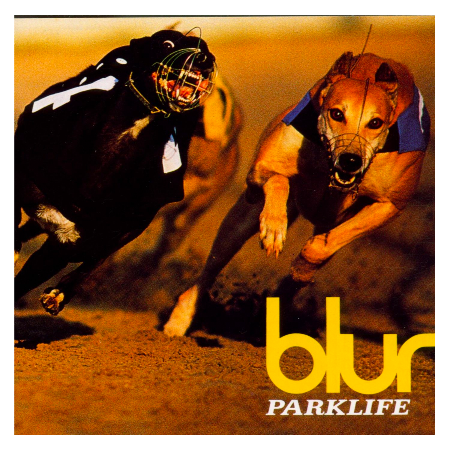 Parklife CD | Blur Official Store